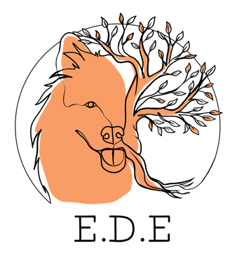 Logo Eden Dog Education avec acronyme EDE. Le Logo est un cercle non fermé avec une partie d'une tête de chien fusionnée avec un arbre. Couleur orange